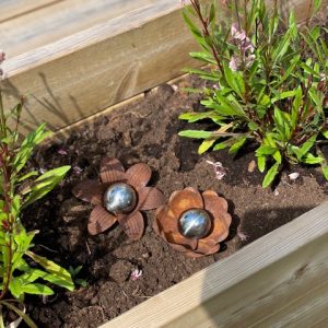 Små 3D blommor Rost