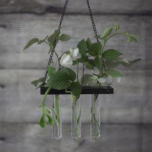 Provrörs hänge för blommor